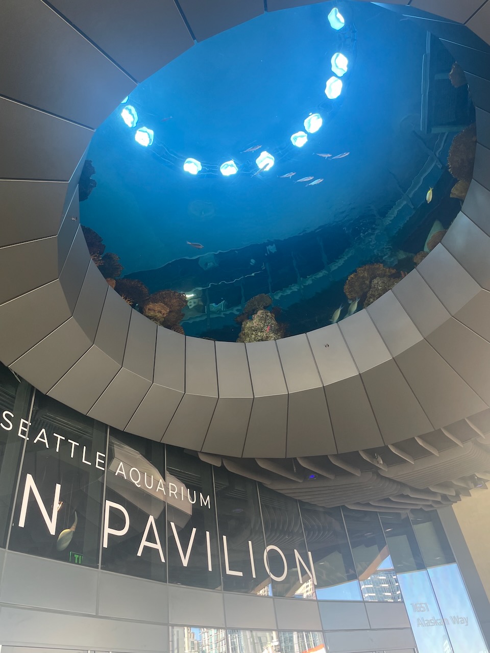 A view upwards, where the building overhangs the entranceway of the pavilion, and the tank is visible from beneath, via a large round window, maybe ten feet across.