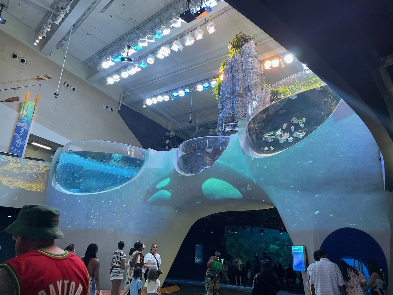 A view of the upstairs of the pavilion from the ground floor. The balcony above is lined with three rounded plexiglass tanks each open to view from the floor below, like huge bowls resting on the edge. The mangrove tank from the last picture is the right hand one, here, and fish are visible in all three.