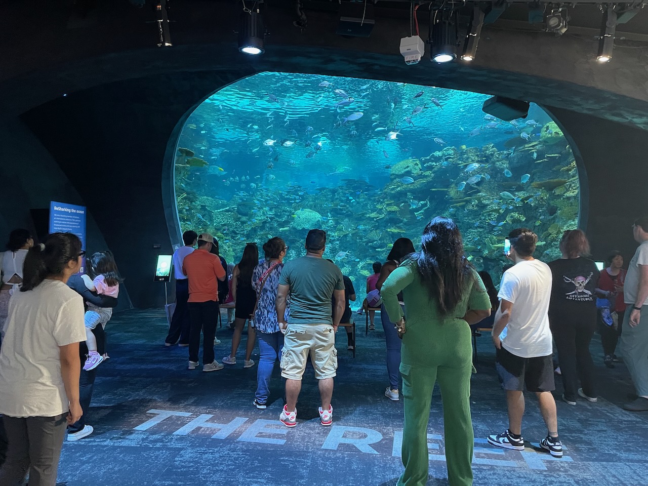A crowd of people stand in a loose crowd, looking at a huge aquarium, with a slope of coral and rocks rising away from them, full of colorful smaller salt-water reef fish.