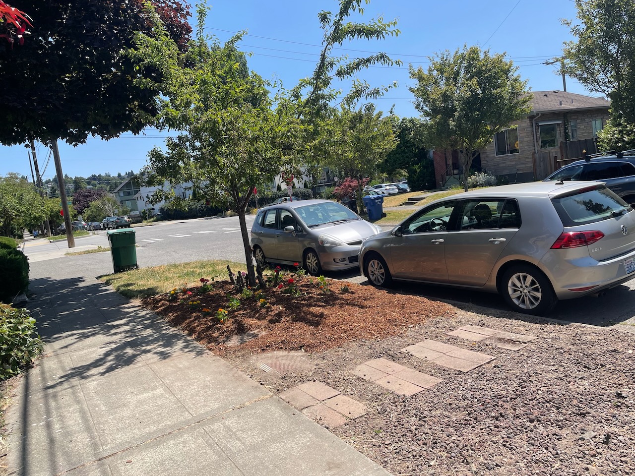 A view of the same location from the other side. the dead grass is gone, and is now bark mulch with flowers planted below it. The shrub is now a tree with a clearly visible trunk whose branches start about five feet off the ground and extend up and out.