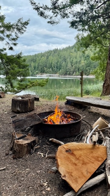 a firepit with a cooking grill flipped back, so the fire is more easily accessed. a large pile of wood sits next to it, ready to be added, including an angled wedge that is maybe 18 inches across and 12 inches deep.