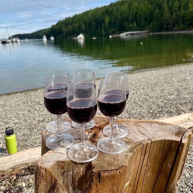 Six glasses of red wine are arrayed on a stump at the top of a stone beach. the water of Reid Harbor is visible in the background.