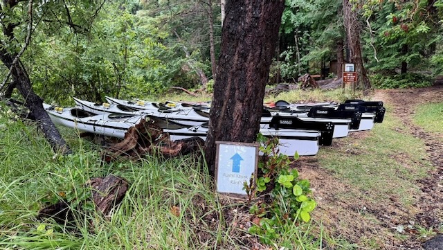 A small clearing in a forest with a small laminated sign reading 