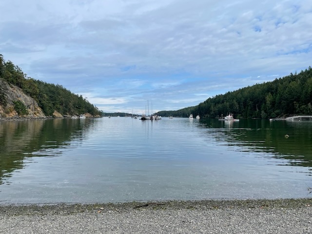 Reid Harbor as viewed from the kayak camp spots at the far end of it. along each side are trees & steep rocks, and in the water are a dozen or more anchored boats along the length of the harbor. They're mostly sailboats or small shipping vessels.