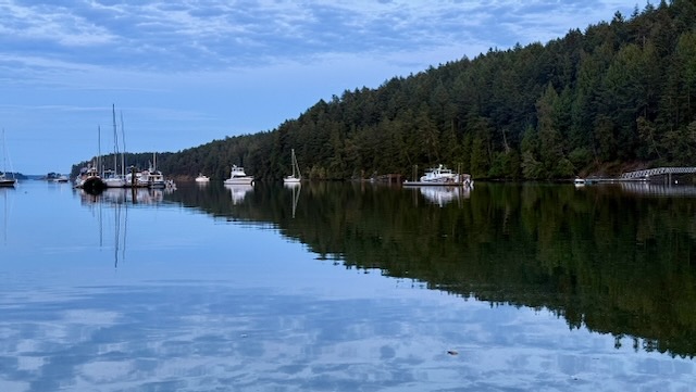 the water of Reid Harbor is still, causing the deep green of the trees and the clear blue of the sky and a few whispy clouds, to be reflected back upwards. Small sailboats and other ships dot the water.