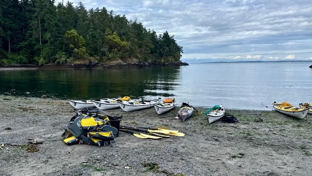 a rocky beach, covered in kelp. Further from the water is a pile of life vests and yellow and black oars. beyond that is a line of 6 kayaks, four of which hold 2 people and are white, and two of which are smaller one-person vessels.