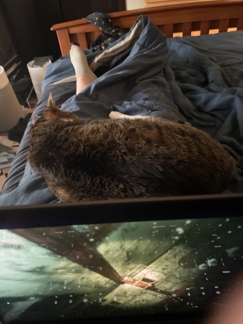a large tabby cat naps on the blanket-covered legs of the photographer. Higher up on their lap is a laptop, showing a video game being played.