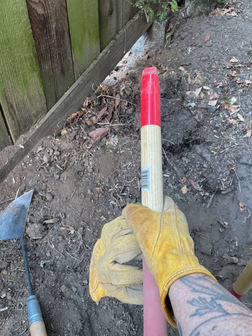 A hand in a leather work glove holds the handle to the loppers, nothing attached to it.
